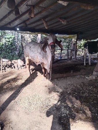 વધારે માહિતી માટે ફોન કરવો