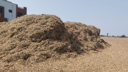 મગફળી નો ભુક્કો