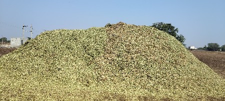 મગફળી નો ભૂકો વેચવાનો છે
