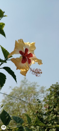 જમીન વેચવાની છે