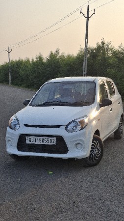 alto 800