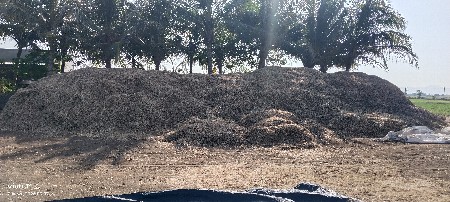 મોગોટા નો ભુકો