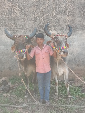 એકવાર એકવાર બાયો છોકરો ગમે એ બાંધ