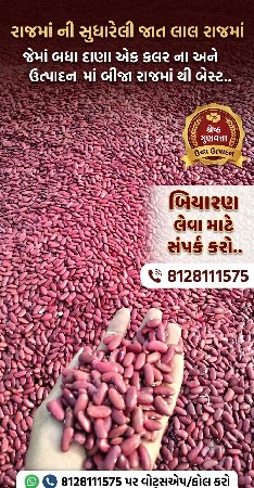 લાલ રાજમાં