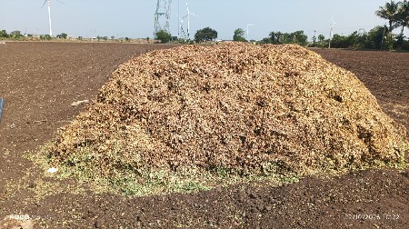 માંડવી ના ડોરા