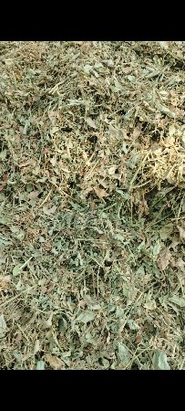ભુકો