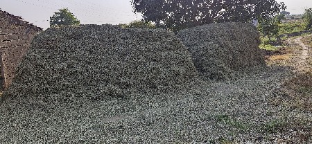 જી20 માંડવી ભુકો વેચવાનો છે