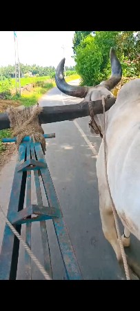 વેચવાના છે