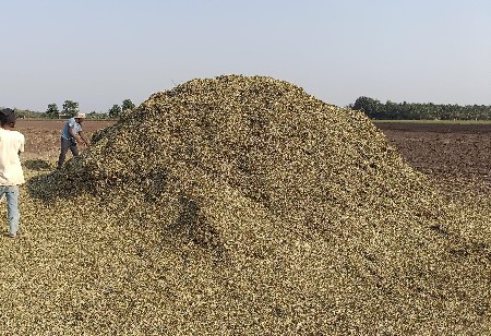 માંડવીયું વેંચવાનું છે