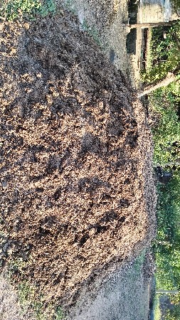છાણીયું ખાતર વેસવાનું છે.