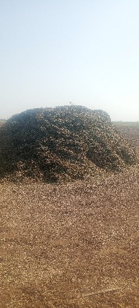 મગફળી નો ભુક્કો વેસ્વનો સે