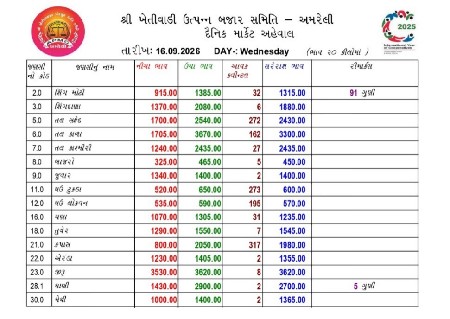6 વિઘા પડતર જમીન