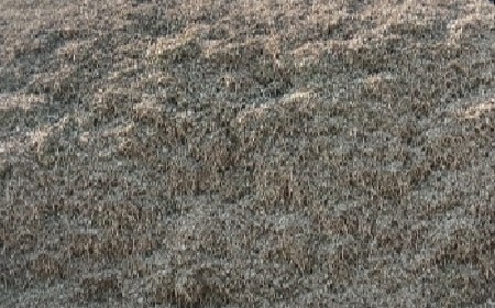 જી 20 મગફળીનું પાલો વેચવાનો છે