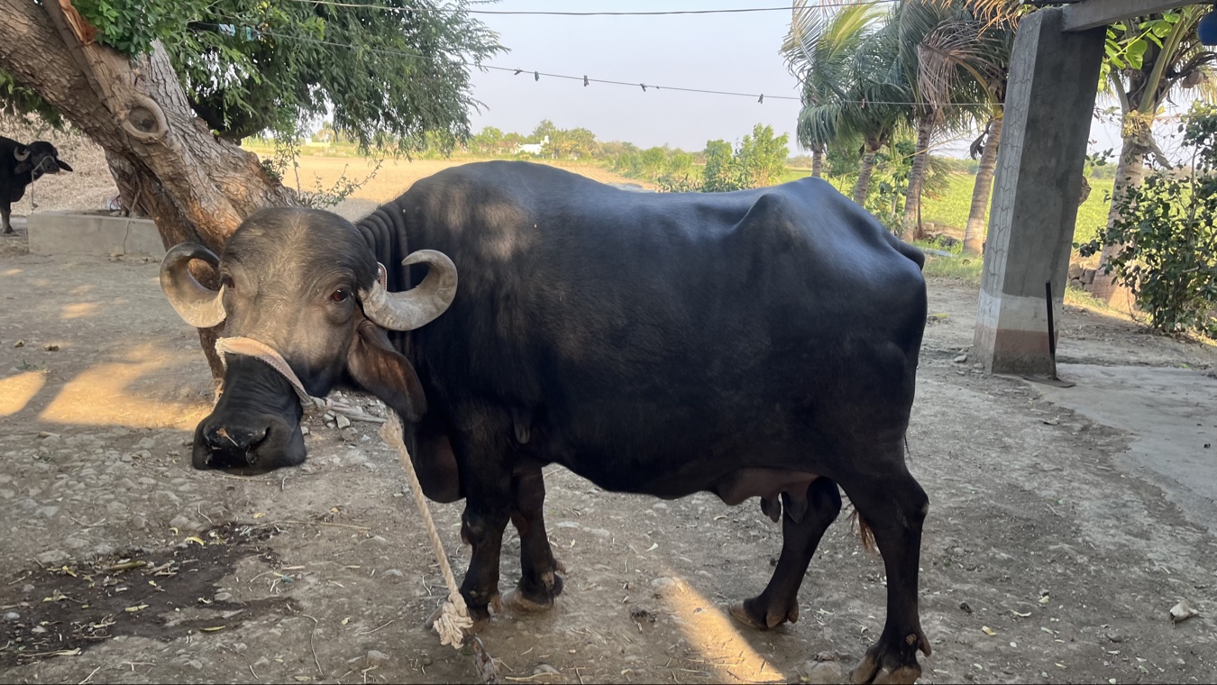 10 પૂરા થયા