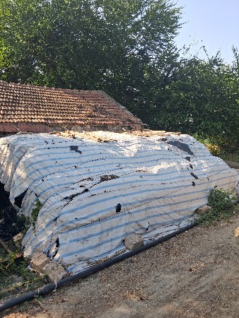 નિણની કાલર‌  વેચવાની છે‌