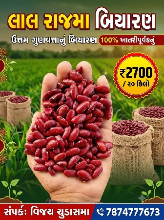 લાલ રાજમા