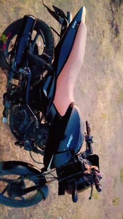 palsar 125cc che