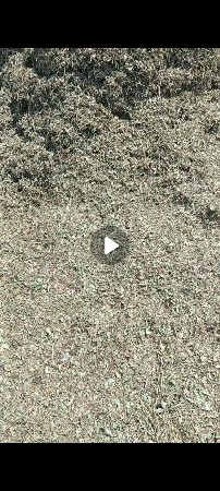 ભૂકો વેચવાનો છે
