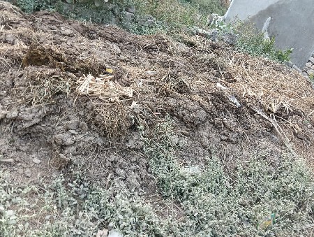 છાણીયો ખાતર વેચવાનું છ