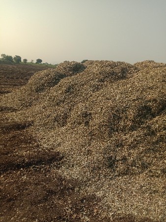 પાલો વેચવા નો છે