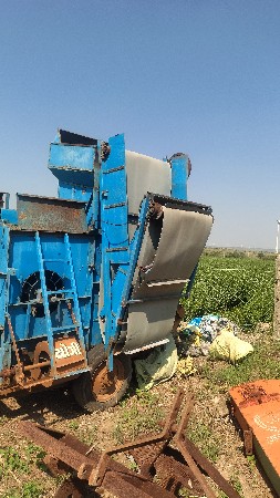 યોગી થેસર