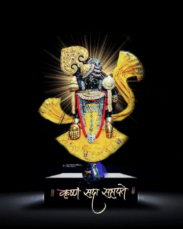 વેશવાના છે
ખડેલા