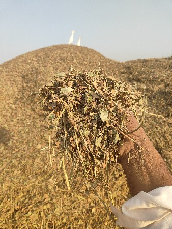જીવીશ મગફળી નો ભૂકો 20વિધાનો