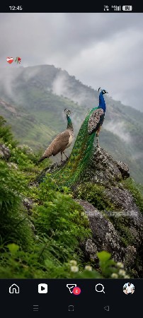 જમીન વેશ વા ની છે