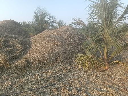માંડવ્યુ વેચવાનું છે
