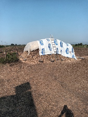 ગીરનાર4