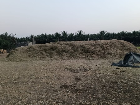 ભૂકો (પાલો) વેચવાનો છે