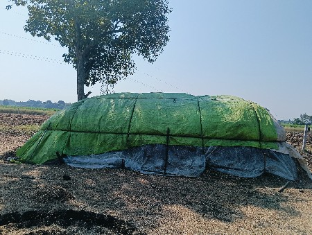 પાલો વેચવાનો છે