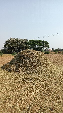 મગફળી નો ભૂકો ( મગોટુ ) વેચવાનું