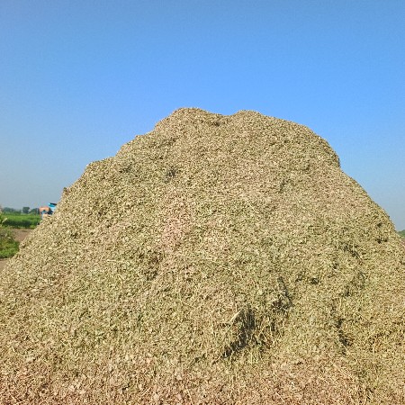 ભૂકો વેચવા નો છે