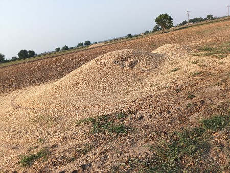 સોયાબીન ભુકો વેસવાનો છે