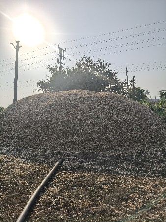 માંડવી નો ભુકો વેચવા નો છે