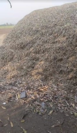 ચારો વિચ lવાનો છે