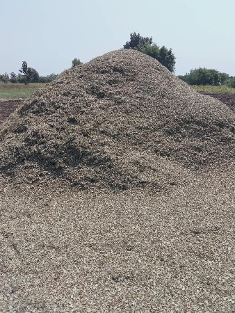 mandvino  palo