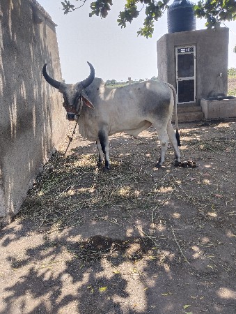 જોડ કરવાની છે