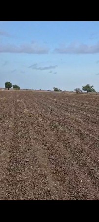 સાવરકુંડલા તાલુકો અમરેલી જીલ્લો