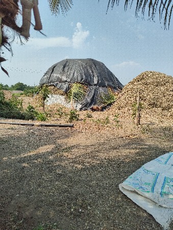 મગફળીનો ભાલો