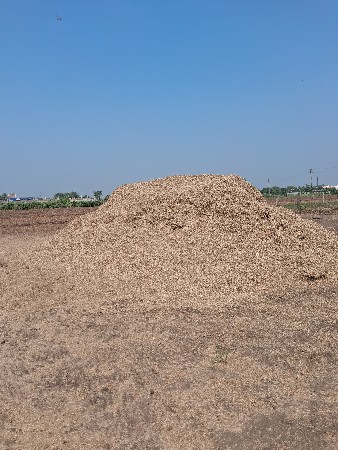 soyabin bhuko