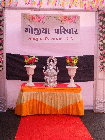 કૂતરો જર્મન મેલ
