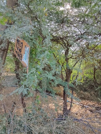 કોઈ મારા ભાઈને બીડ કે આખરી કઢાવવાન