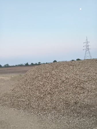 માંડવીનો ભૂકો વેેસવાનો સે ગિરનાર  4