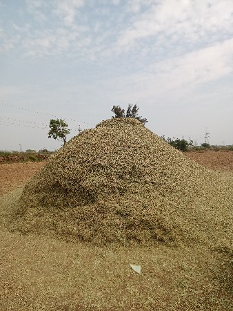 જી 20 G 20 નો ભુક્કો માડવીયુ