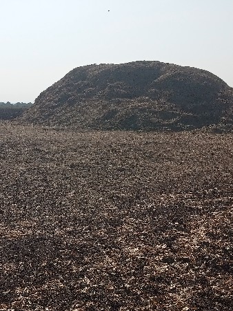 મગફળી નો પાલો