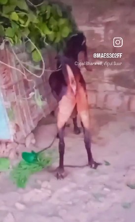 ડોઢ વરસ