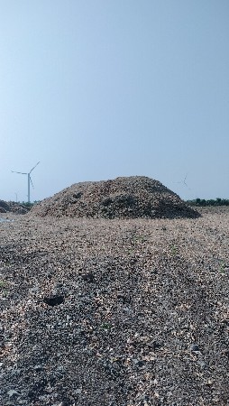 પાલો વેચવાનો છે 12 વીઘા