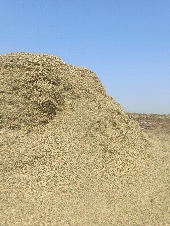 કાચી કેરી જેવો ભૂકો વેચવાનો